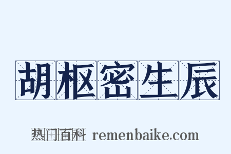 胡枢密生辰是什么意思的图片